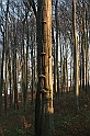 Rostoczek 11.2008 300